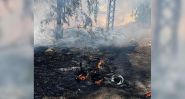 Israeli Drone Attack Leaves One Dead in Nabatiyeh al-Fowqa, South Lebanon