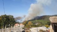 Civil Defense Contains Widespread Fires Across Lebanon Within 24 Hours