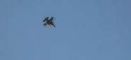 Israel Resumes Strikes Against the Houthis and Threatens Their Leader
