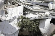 AFP Gaza Photographers Named Pulitzer Finalists for War Coverage