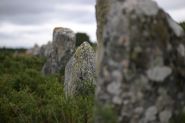 Les mégalithes de Carnac sous les projecteurs du monde