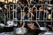 Over 100 NGOs Urge Ceasefire as Gaza Faces Escalating Humanitarian Crisis