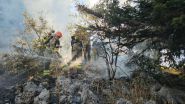 Army Helicopters Battle Akkar's Raging Forest Fire