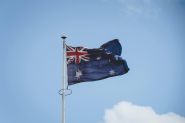 Toxic Algae Bloom Lingers off Australia, Killing Marine Life
