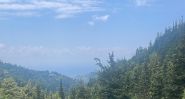 Lebanon’s Forests Are Crying Out. Will We Answer in Time?