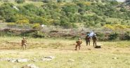 Israeli Incursion Near Blida