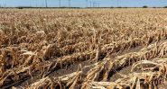 Drought: When the Sky Turns Its Back on the Earth