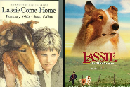 The Real Story of Lassie: The Collie Who Captivated the World