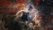James Webb Telescope Discovers Its First Exoplanet