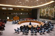 US to Veto Any Amendments to its Ukraine Proposal at UN Security Council