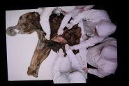 A 130,000-Year-Old Mammoth Unveils Its Secrets
