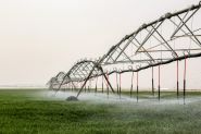 Iraq Farmers Turn to Groundwater to Boost Desert Wheat Yields