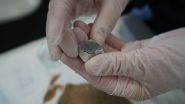Une importante sépulture viking découverte au Danemark