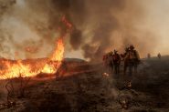 Record EU Wildfires Burnt More Than 1 mn Hectares in 2025