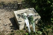 Macron Vows to Punish Antisemitic 'Hatred' After Memorial Tree Cut Down