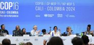 COP16 Summit Ends, No Agreement on Biodiversity Funding
