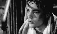 Un an après sa mort, Alain Delon honoré à Douchy le 18 août