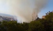 Major Fires in the Shouf and Northern Lebanon: Civil Defense on Maximum Alert
