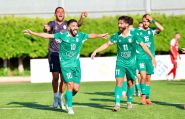 Football: Al-Ansar Dominates the Season and Wins Its 15th Title