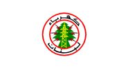 Lebanon Registers Highest Commercial Electricity Tariffs in Arab World