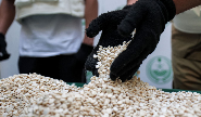 866 Kg of Captagon Seized in Joint Lebanon-Saudi Drug Operation