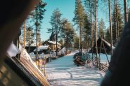 Summer 2024 Was Lapland's Warmest in 2,000 Years