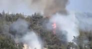 Wildfire Devastates Qammouaa’s Historic Forests in Lebanon