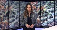 Will Southern Lebanon Ever Be Safe for Farming Again?