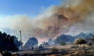 Massive Forest Fire Rages in Al-Qoubaiyat, Akkar Region