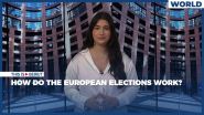 How Do the European Elections Work?