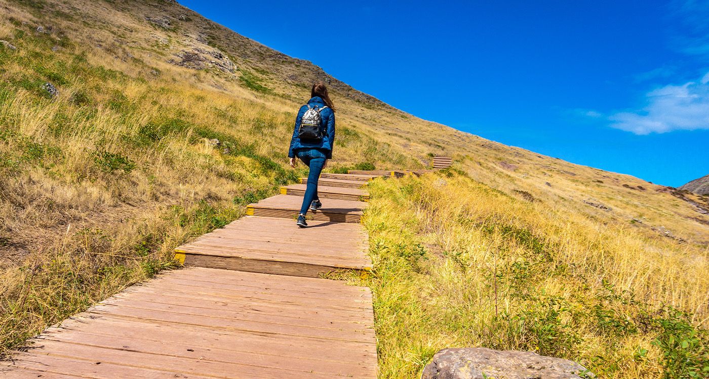 The Path Is Made by Walking: How Each Step Creates the Way