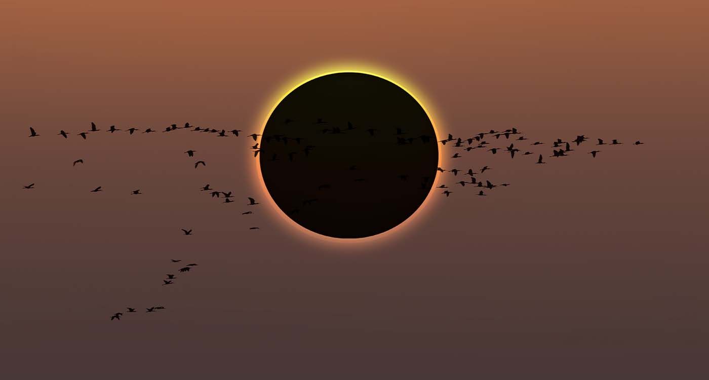 Eclipse of the Century: Encounter with Darkness on August 2, 2027