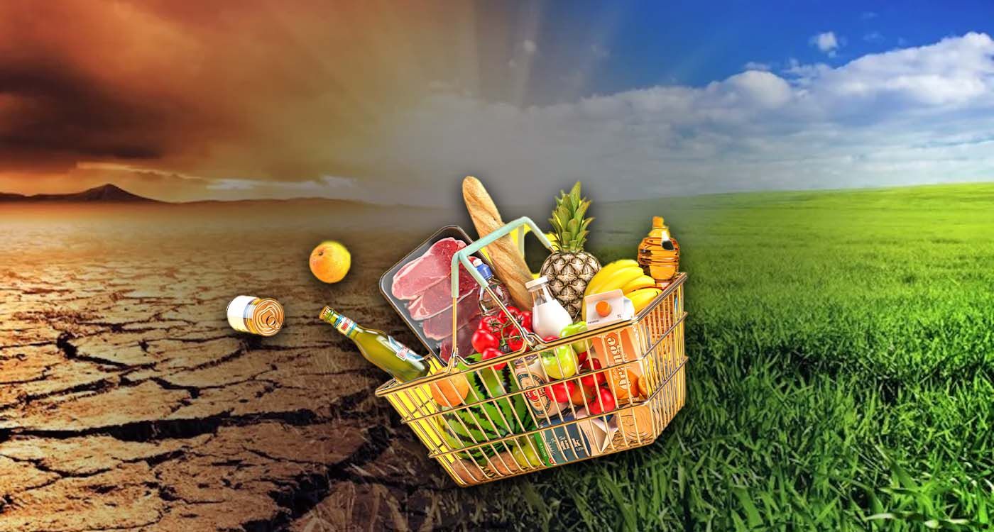Climate Disruption Drives Up Grocery Costs