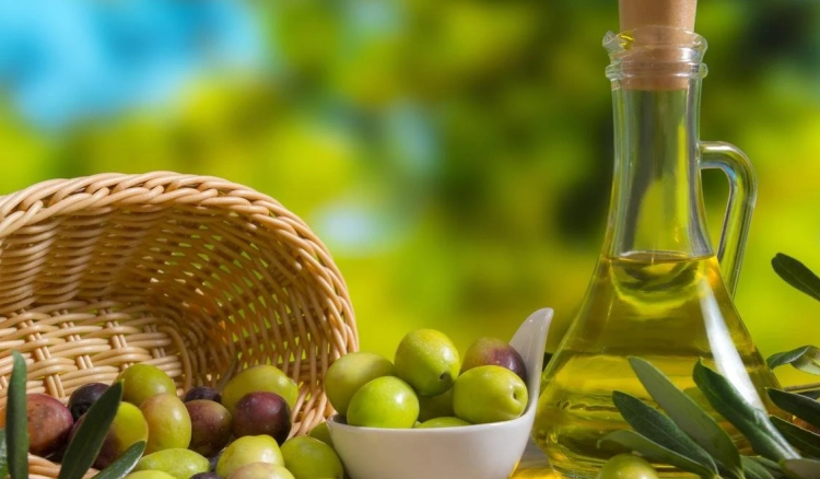 Brazil Lifts Tariffs on Lebanese Olive Oil, Opening Door to Export Boost