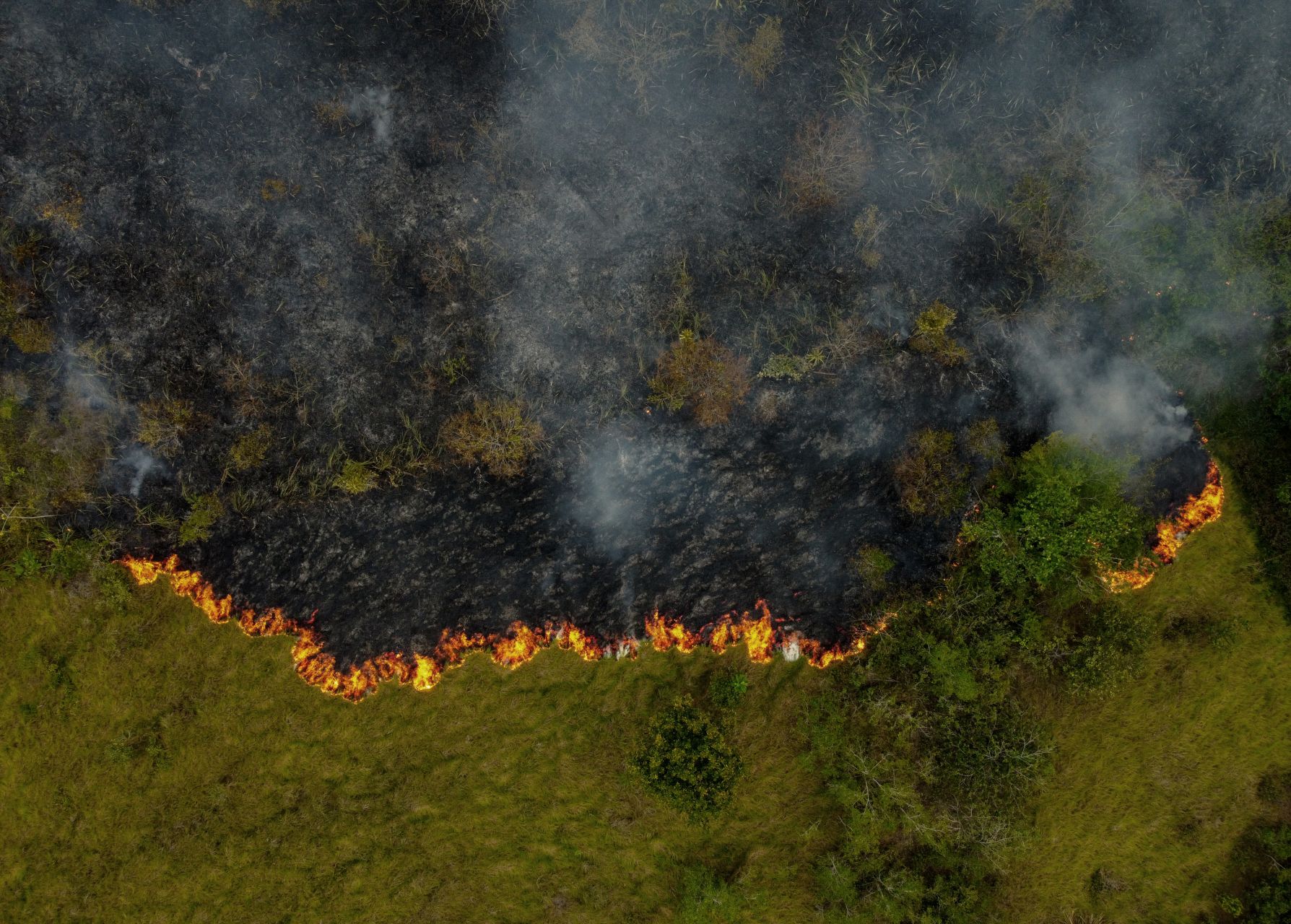 'Red Alert': Fires Drive Tropical Forest Loss to Record High