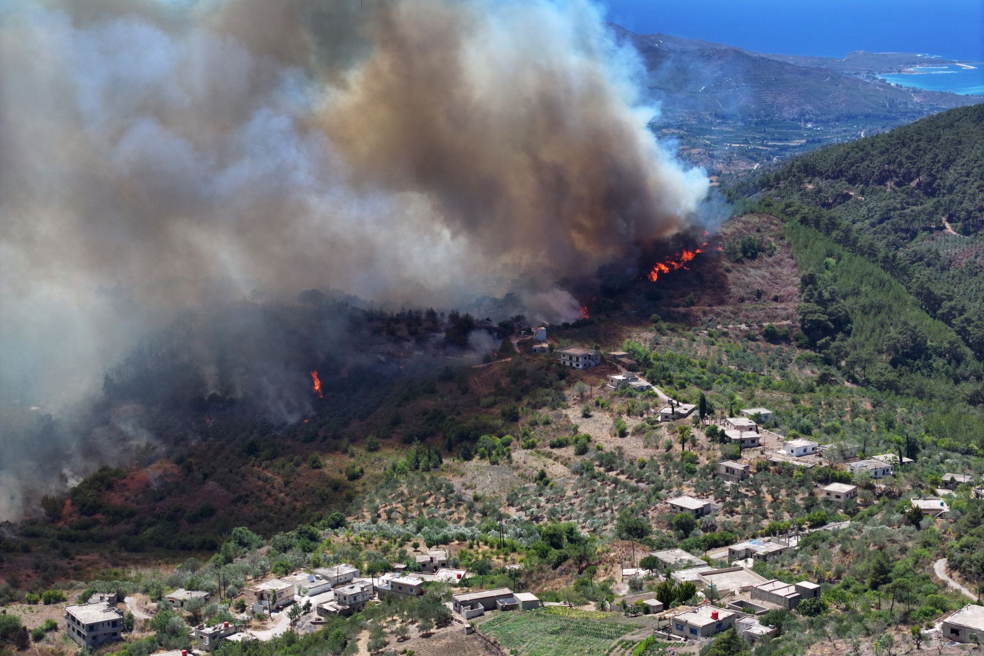 Syria Battles Wildfires for Fourth Day as Jordan and Turkey Send Help