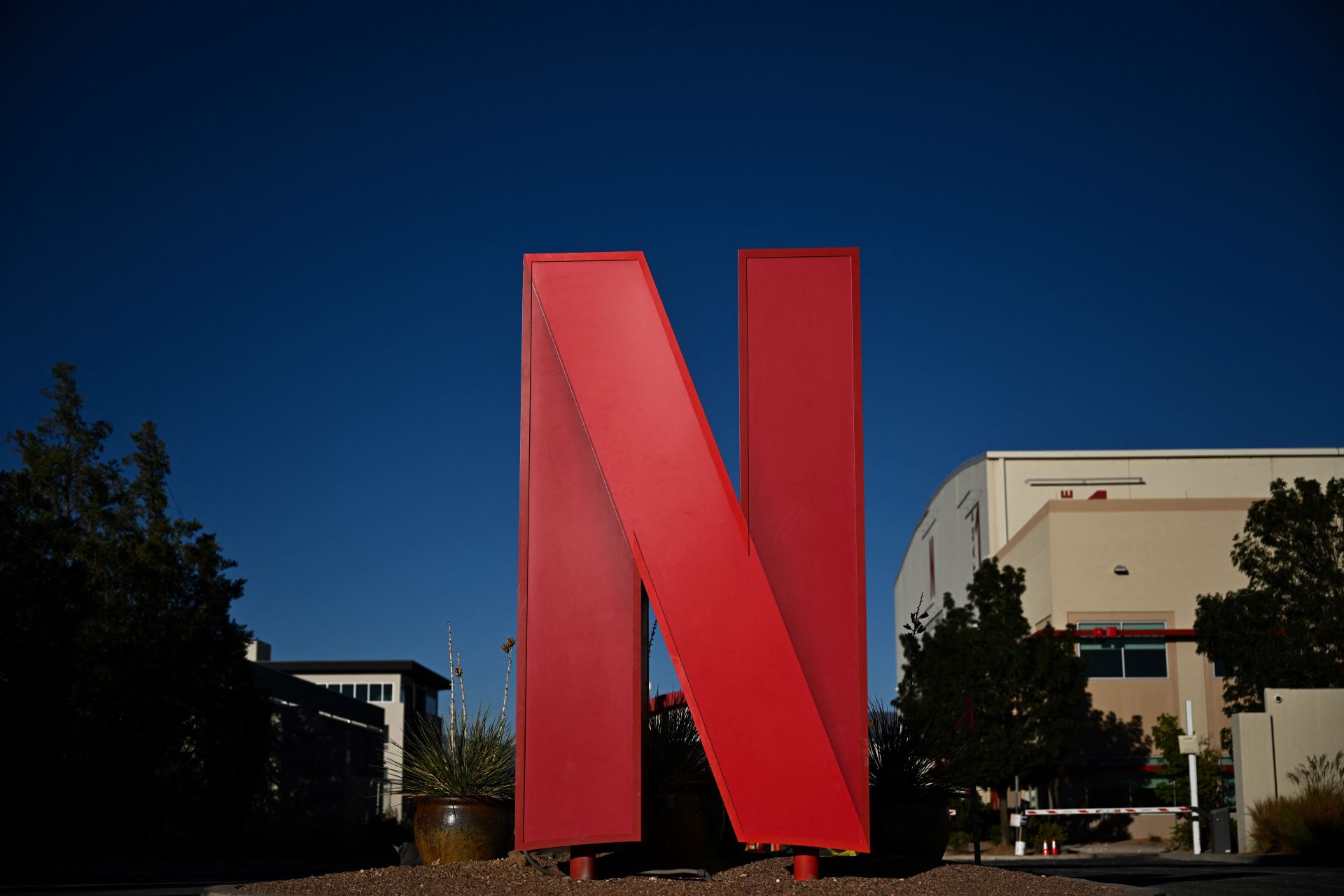 Netflix Soars: Profits Up, Ads Booming, Subscribers Engaged