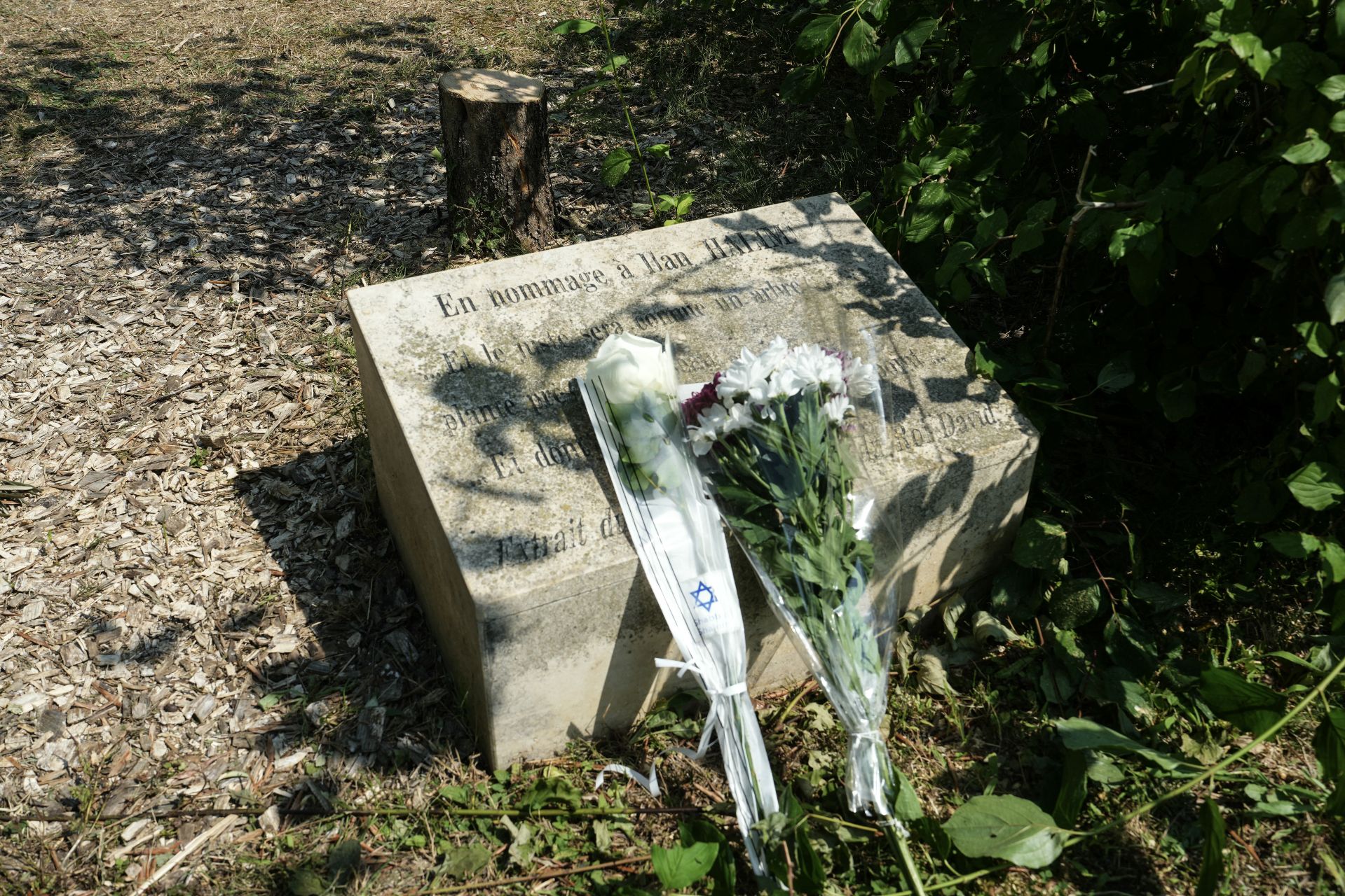 Macron Vows to Punish Antisemitic 'Hatred' After Memorial Tree Cut Down