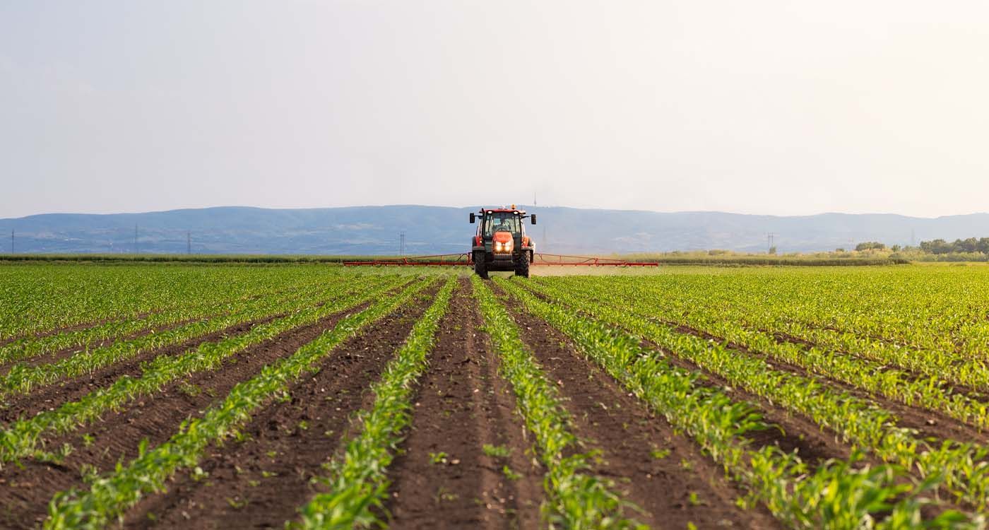 Foreign Competition Chokes Lebanese Agriculture