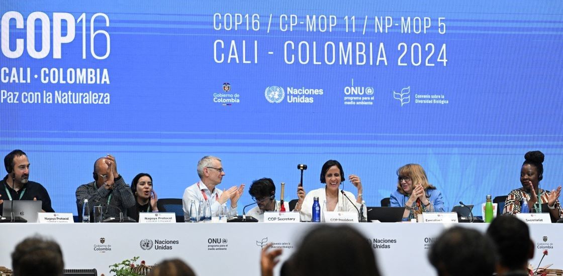 COP16 Summit Ends, No Agreement on Biodiversity Funding