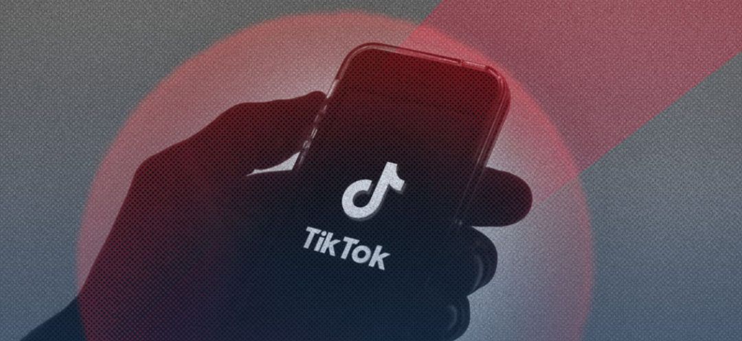 Twelve Accused in the TikTok Pedophile Network