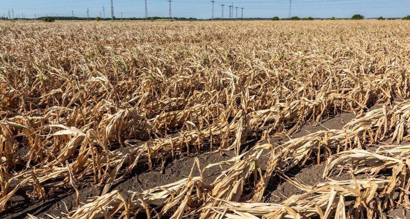 Lebanon’s Dry Season: Agriculture at Risk, but Hope Remains