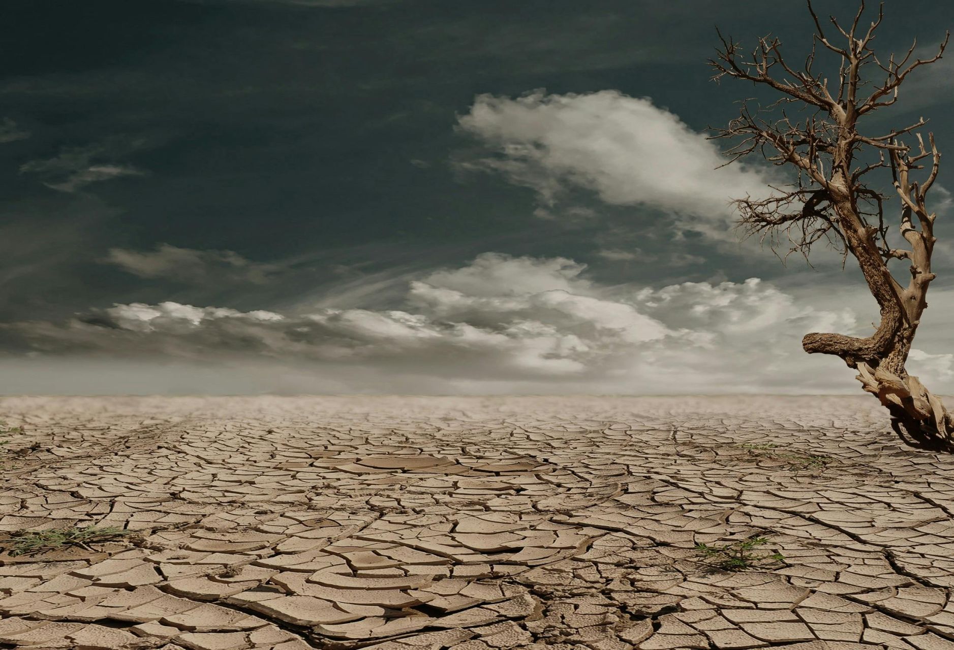 Half the World Faced an Extra Month of Extreme Heat Due to Climate Change: Study