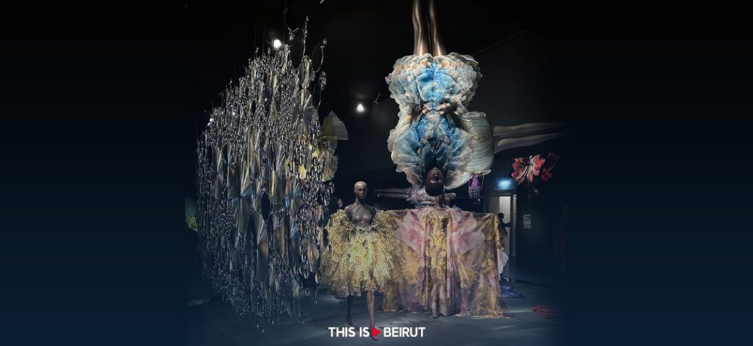 Iris Van Herpen: Chaos and Harmony's Artistic Fusion