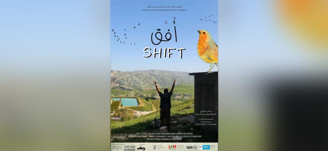 'Shift:' A Documented Birdwatching Journey and Inner Transformation