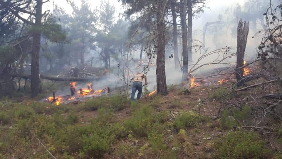 Lebanese Army Contains Akkar Raging Forest Fires