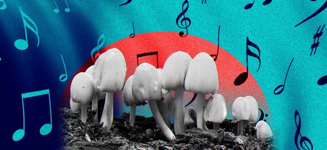 And What if Fungi Had a Musical Ear?