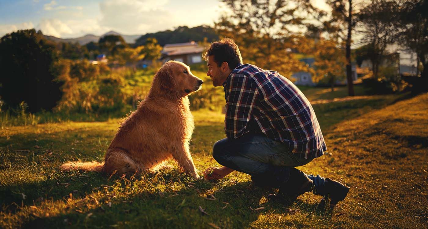 When Losing a Dog Hurts More Than Losing a Loved One