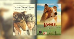 The Real Story of Lassie: The Collie Who Captivated the World
