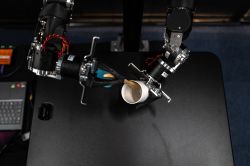 Tokyo: The Humanoid Robot Race